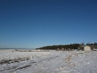 EST, Saaremaa, Tagamoisa hoiuala, 4, Saxifraga-Bart Vastenhouw