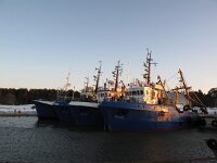 EST, Saaremaa, Tagamoisa hoiuala, 5, Saxifraga-Bart Vastenhouw