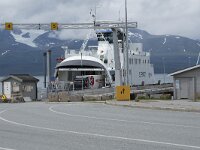 N, Troms, Kafjord, Olderdalen 1, Saxifraga-Willem van Kruijsbergen