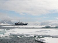 NO, Spitsbergen, Fuglesangen 18, Saxifraga-Bart Vastenhouw