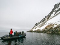 NO, Spitsbergen, Fuglesangen 27, Saxifraga-Bart Vastenhouw