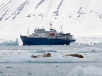 NO, Spitsbergen, Plancius 2, Saxifraga-Bart Vastenhouw