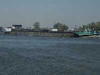 NL, Noord-Brabant, Altena, Nieuwe Merwede 2, Saxifraga-Marijke Verhagen