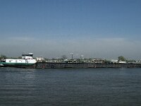 NL, Noord-Brabant, Altena, Nieuwe Merwede 4, Saxifraga-Jan van der Straaten