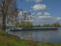 NL, Noord-Brabant, Lith, Maas 4, Saxifraga-Jan van der Straaten