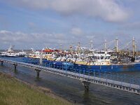 NL, Noord-Holland, Hollands Kroon, Den Oever, harbour 1, Saxifraga-Foto Fitis-Sytske Dijksen