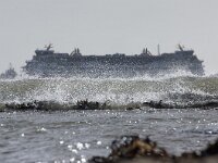NL, Noord-Holland, Texel 79, Saxifraga-Foto Fitis-Sytske Dijksen