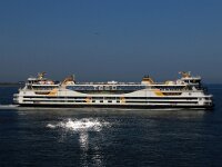 NL, Noord-Holland, Texel, Marsdiep 10, Saxifraga-Foto Fitis-Sytske Dijksen