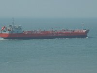 NL, Zeeland, Valkenisse, Westerschelde 1, Saxifraga-Jan van der Straaten