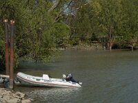 NL, Zuid-Holland, Dordrecht, Oosthaven 17, Saxifraga-Marijke Verhagen