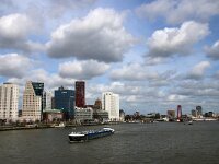 NL, Zuid-Holland, Rotterdam, Nieuwe Maas 2, Saxifraga-Foto Fitis-Sytske Dijksen