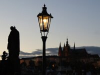 CZ, Praha, Praha,  Karluv Most 3, Saxifraga-Foto Fitis-Sytske Dijksen