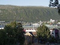 N, Troms, Tromso 11, Saxifraga-Willem van Kruijsbergen