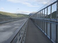 N, Troms, Tromso 2, Saxifraga-Willem van Kruijsbergen