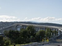 N, Troms, Tromso 9, Saxifraga-Willem van Kruijsbergen