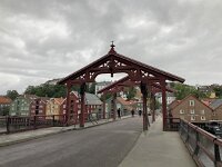 N, Trondelag, Trondheim 7, Saxifraga-Willem van Kruijsbergen