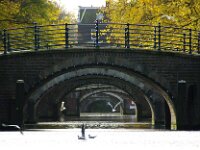 NL, Noord-Holland, Amsterdam 11, Saxifraga-Foto Fitis-Sytske Dijksen