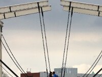 NL, Noord-Holland, Amsterdam 4, Saxifraga-Foto Fitis-Sytske Dijksen