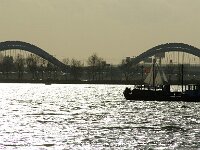 NL, Noord-Holland, Amsterdam, IJmeerbrug 1, Saxifraga-Foto Fitis-Sytske Dijksen