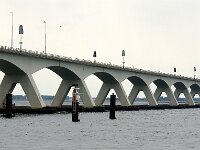 NL, Zeeland, Schouwen-Duiveland, Zeelandbrug 8, Saxifraga-Foto Fitis-Sytske Dijksen
