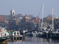 NL, Zuid-Holland, Dordrecht 49, Saxifraga-Foto Fitis-Sytske Dijksen