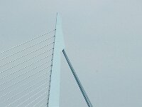 NL, Zuid-Holland, Rotterdam, Erasmusbrug 7, Saxifraga-Foto Fitis-Sytske Dijksen