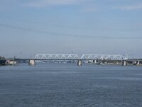 NL, Zuid-Holland, Sliedrecht 1, Saxifraga-Willem van Kruijsbergen