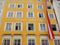 A, Salzburg, Salzburg 1, Saxifraga-Foto Fitis-Sytske Dijksen