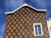 F, Pas-de-Calais, Wimereux 3, Saxifraga-Foto Fitis-Sytske Dijksen