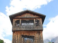 I, Belluno, Val di Zoldo, Coi 2, Saxifraga-Foto Fitis-Sytske Dijksen