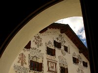 CH, Graubuenden, Sur 1, Saxifraga-Foto Fitis-Sytske Dijksen