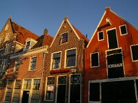 NL, Friesland, Harlingen, Noorderhaven 2, Saxifraga-Foto Fitis-Sytske Dijksen