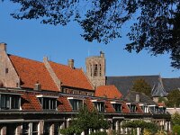 NL, Gelderland, Elburg 1, Saxifraga-Foto Fitis-Sytske Dijksen