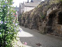 NL, Limburg, Maastricht 13, Saxifraga-Foto Fitis-Sytske Dijksen