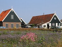 NL, Noord-Holland, Texel, Oost 1, Saxifraga-Foto Fitis-Sytske Dijksen