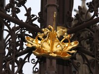 NL, Zuid-Holland, 's-Gravenhage, Binnenhof 2, Saxifraga-Foto Fitis-Sytske Dijksen