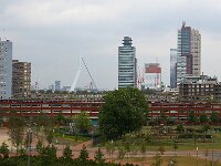 NL, Zuid-Holland, Rotterdam 53, Saxifraga-Foto Fitis-Sytske Dijksen