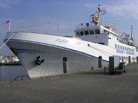 D, Schleswig Hollstein, Helgoland 1, Saxifraga-Henk Sierdsema