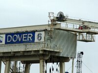 GB, Kent, Dover 1, Saxifraga-Foto Fitis-Sytske Dijksen