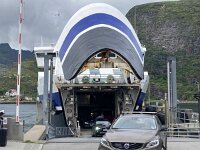 N, Nordland, Moskenes, Moskenes 31, Saxifraga-Willem van Kruijsbergen