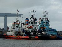 NL, Noord-Holland, Den Helder, harbour 2, Saxifraga-Foto Fitis-Sytske Dijksen