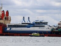 NL, Noord-Holland, Texel, Marsdiep 13, Saxifraga-Foto Fitis-Sytske Dijksen