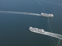 NL, Noord-Holland, Texel, Wagemaker Ferry 1, Saxifraga-Foto Fitis-Sytske Dijksen