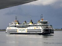 NL, Noord-Holland, Texel, Wagemaker Ferry 3, Saxifraga-Foto Fitis-Sytske Dijksen