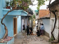 AL, Udenisht, Lin 1, Saxifraga-Foto Fitis-Sytske Dijksen