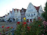 D, Schleswig-Holstein, Friedrichstadt 1, Saxifraga-Foto Fitis-Sytske Dijksen