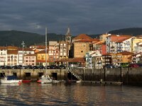 E, Bizkaia, Bermeo 1, Saxifraga-Foto Fitis-Sytske Dijksen