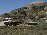 GR, Crete, Lasithi, Agios Georgios 5, Saxifraga-Jan van der Straaten