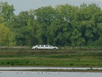 NL, Noord-Brabant, Altena, Hardenhoek 4, Saxifraga-Foto Fitis-Sytske Dijksen