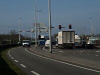 NL, Noord-Brabant, Tilburg, N 262-1, Saxifraga-Jan van der Straaten